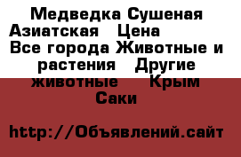 Медведка Сушеная Азиатская › Цена ­ 1 400 - Все города Животные и растения » Другие животные   . Крым,Саки